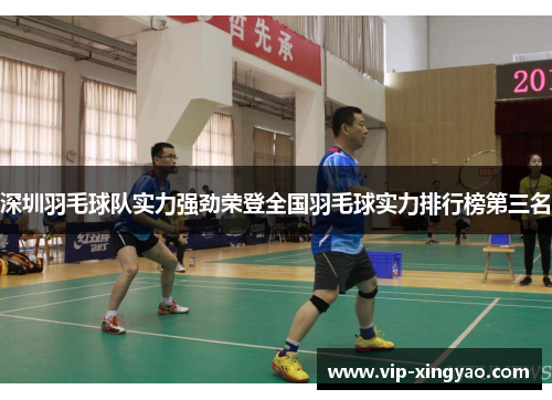 深圳羽毛球队实力强劲荣登全国羽毛球实力排行榜第三名
