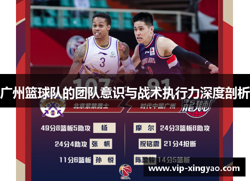 广州篮球队的团队意识与战术执行力深度剖析