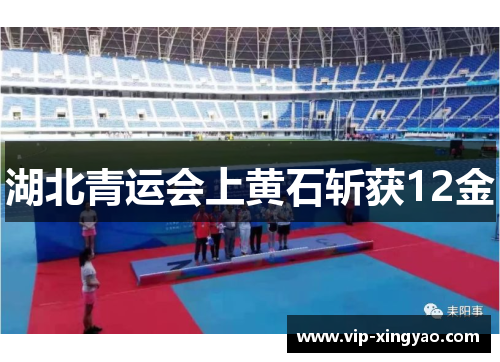 湖北青运会上黄石斩获12金 湖北青运会上黄石斩获12金